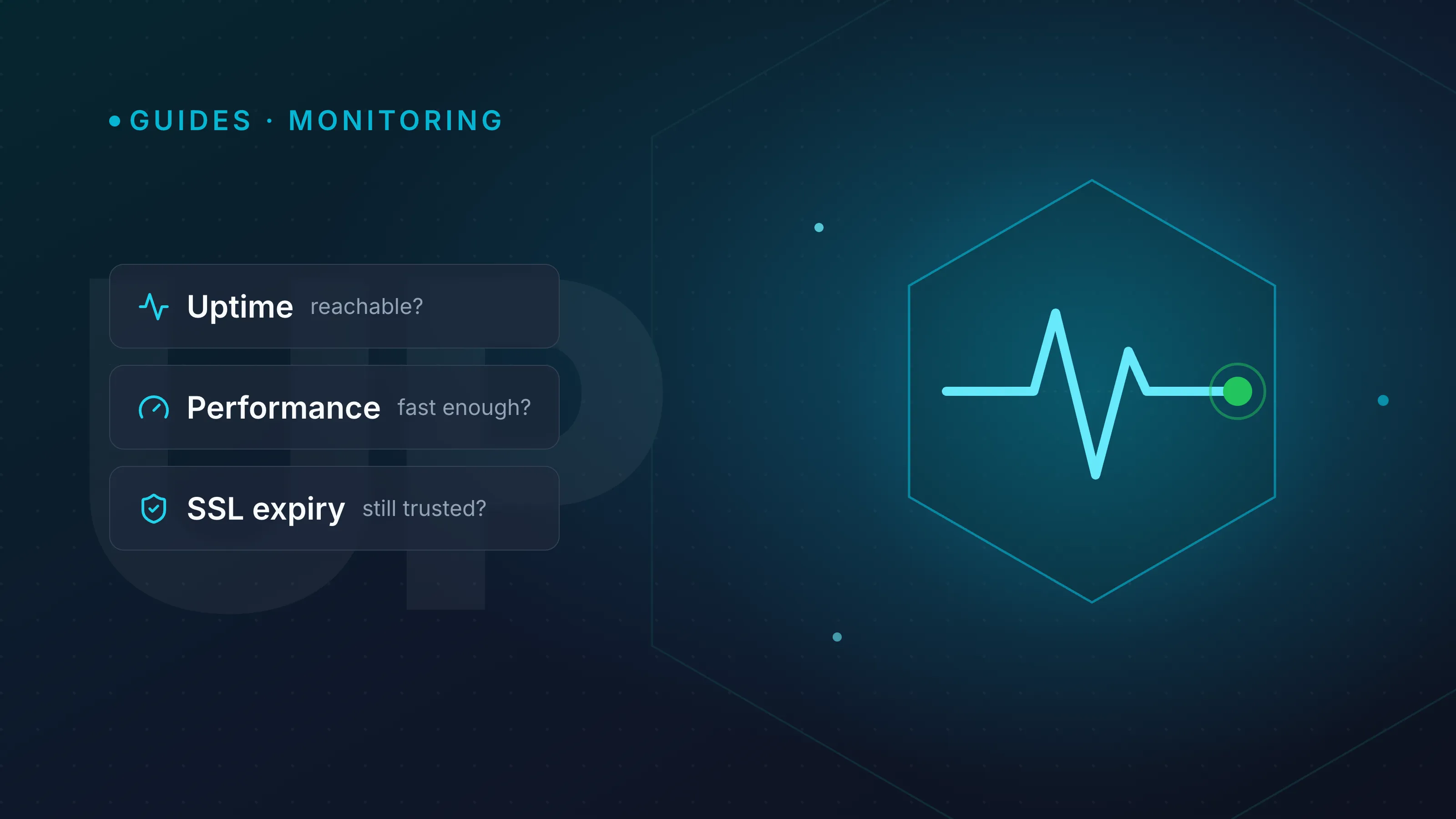 Website monitoring explained: uptime, performance and SSL checks