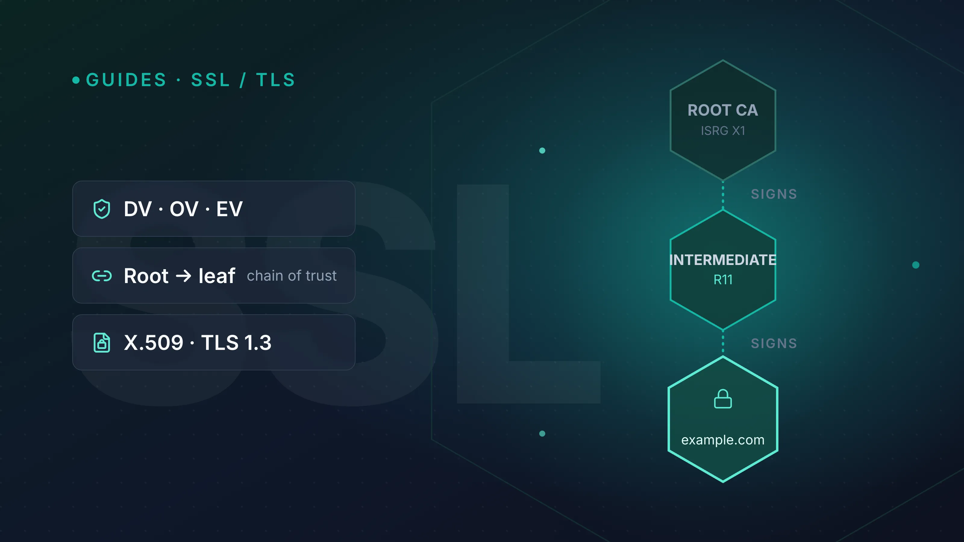 SSL certificates explained: what they are and how the chain of trust works